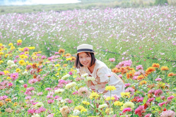 cô gái bên hoa Đà Lạt