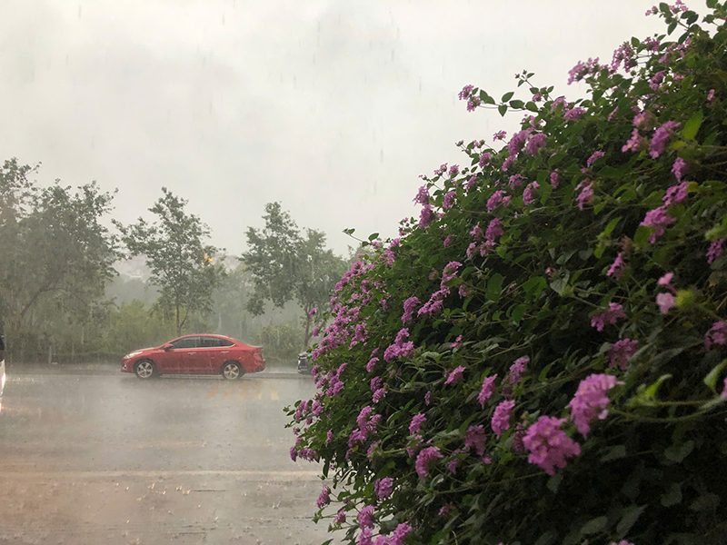 ĐI ĐÀ LẠT MÙA MƯA – Ở ĐÂU, LÀM GÌ, CHƠI GÌ CHO THẬT CHILL?